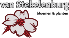 Van Stekelenburg Bloemen en Planten